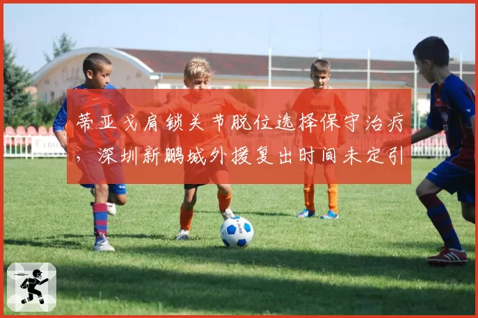 蒂亚戈肩锁关节脱位选择保守治疗,深圳新鹏城外援复出时间未定引不满