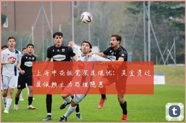 上海申花板凳深度堪忧：吴金贵过度依赖主力恐埋隐患