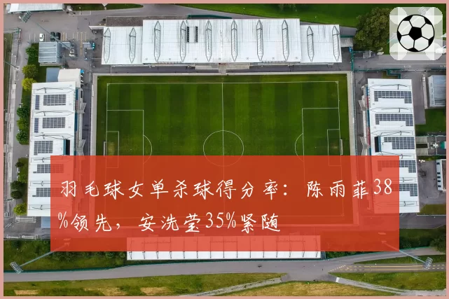 羽毛球女单杀球得分率:陈雨菲38%领先,安洗莹35%紧随