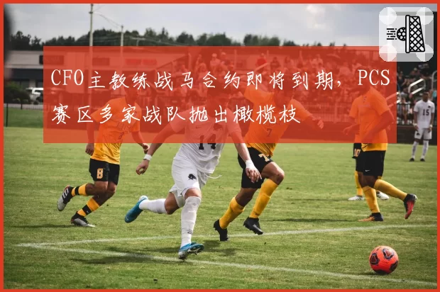 CFO主教练战马合约即将到期，PCS赛区多家战队抛出橄榄枝